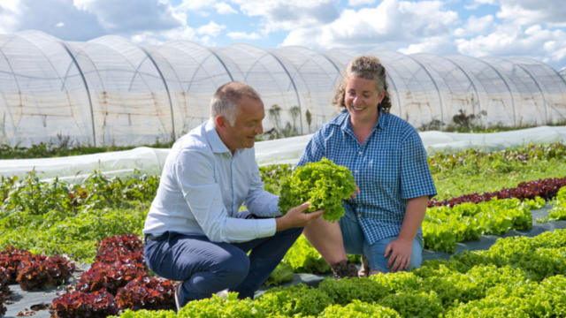 David Sagot dans un champ de salades avec l'agricultrice